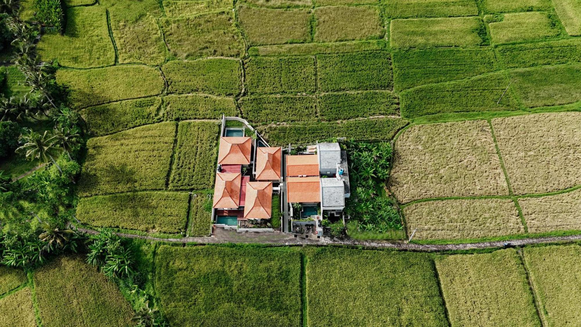 Weda Villas Ubud Exterior foto